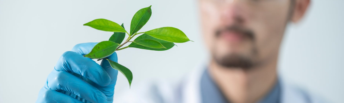 <h3 class='isdemoH3'>Editor-in-Chief Of EuroCHoices</h3><br/> <a tabindex='-1' href='News.aspx?News=1061                          '> Details »</a>