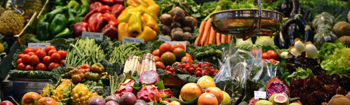 <h3 class='isdemoH3'>11th EAAE PhD Workshop </h3><br/>University of Évora, Portugal <a tabindex='-1' href='https://eaae2026.uevora.pt/' target='_blank'> Details »</a>