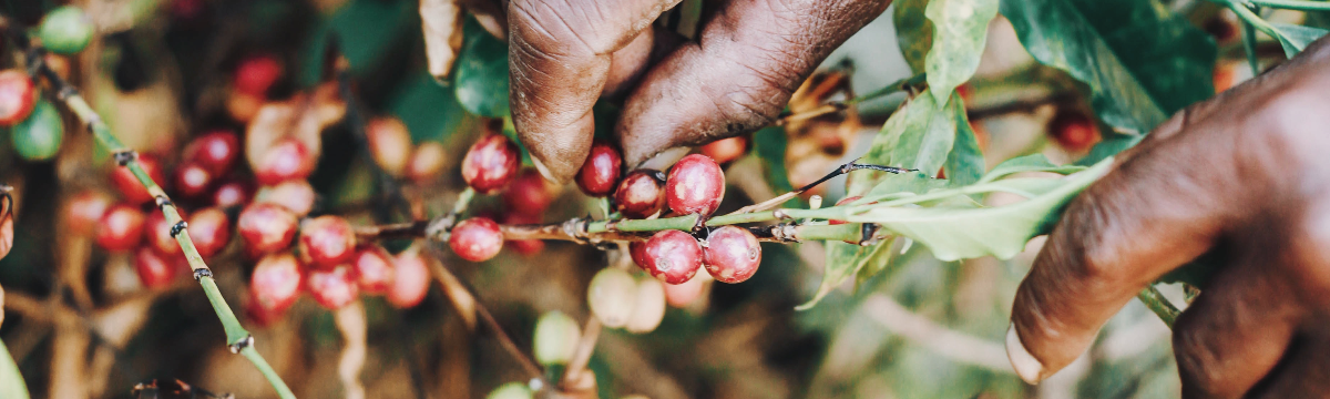 <h3 class='isdemoH3'>Q Open receives impact factor</h3><br/> <a tabindex='-1' href='News.aspx?News=1062                          '> Details »</a>